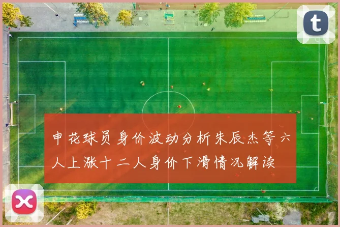 申花球员身价波动分析朱辰杰等六人上涨十二人身价下滑情况解读