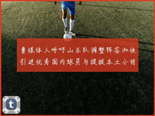 鲁媒体人呼吁山东队调整阵容加快引进优秀国内球员与提拔本土小将